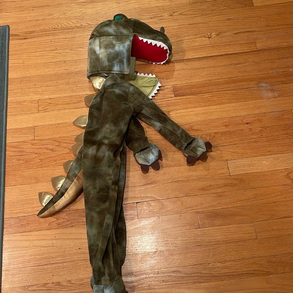 Pottery barn dinosaur costume 3t